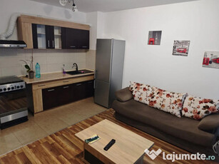 Apartament cu 2 camere, tip studio - zona Tractorul