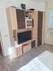 Apartament cu 2 camere -zona Tudor Vladimirescu - Metalurgie - Pet Friendly