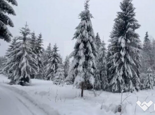 Teren 10,75 ari, intravilan Colibita, cu utilitati