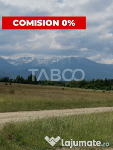 10 ha teren pretabil investitii 20 euro/mp Valea Avrigului S