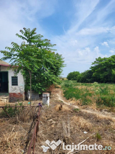 Casa situata in Sat Sinoe, comuna Mihai Viteazu