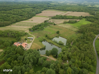 De vanzare teren extravilan 40 ha comansat Sebis jud. Arad