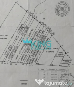 Teren 32.700mp |Deschidere 135ml | Asflat | Adunatii Copacen