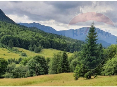 Teren 6000 mp, Vama Buzaului - vedere către Ciucaș