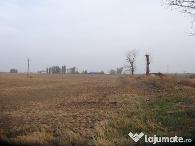 Teren 90.000 mp pt zona industriala la 1,5Km de Autostrada A