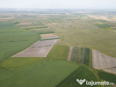 Teren arabil de 40 hectare în Zarand