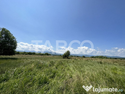 Teren intravilan 5000 mp zona Turnisor din Sibiu