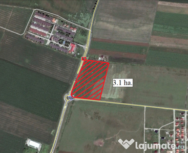 Teren pe DN Arad-Oradea 31000mp - ID : RH-7498-property