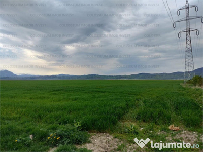 Teren pentru hale industriale - zona Cristian