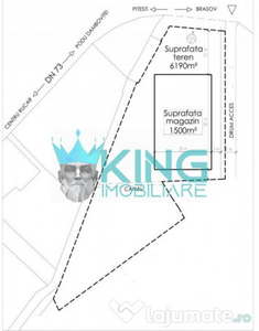 Teren Rucar | 8.070 MP | Oportunitate Investiei | Deschider