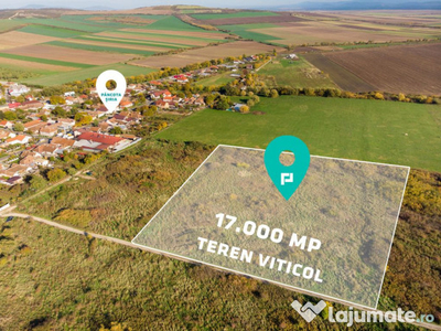 Teren viticol 17000 mp/3 € mp - Șiria