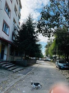 Cluj Napoca Zona Gruia