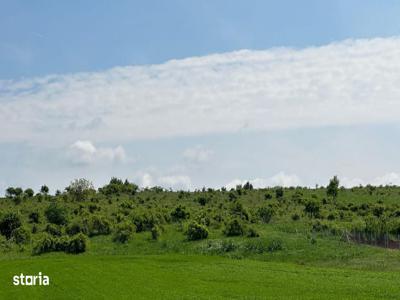 Gaminvest - Teren Extravilan de Vanzare, zona Episcopia, Oradea V3160C