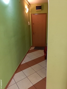 3 camere Dărmănești, mobilat și utilat