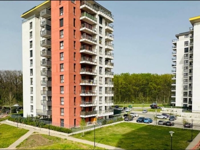 Apartament 3 camere gradina proprie - Denya Forest 4