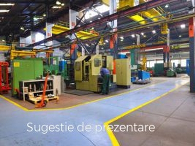 Inchiriere spatiu industrial, Sud, Barlad