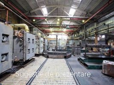 Inchiriere spatiu industrial, Timisoara, Timisoara