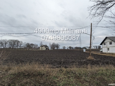 Pământ de Vânzare - Oportunitate Unică 4900 mp Extravilan în Mlenauti, Botosani