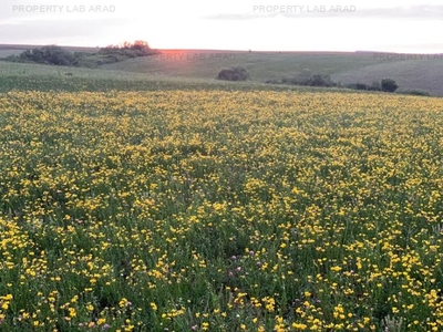 Teren arabil de 128 hectare în Cluj