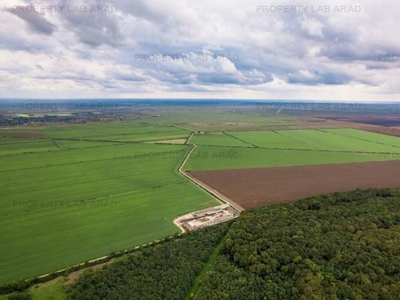 Teren arabil de 30 hectare în Constanța