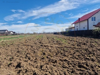 Teren intravilan cu utilitati Mosoaia Arges