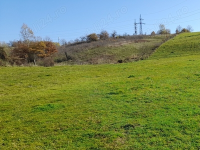 Inchiriez teren pentru depozitare