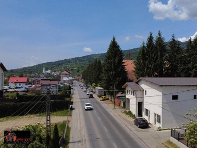 Spațiu Industrial de Vânzare în Borșa - Drum Principal