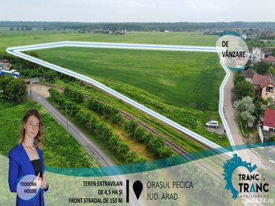 Teren extravilan de 4,5 ha și front stradal de 150 m, în Pecica(ID: 26389)