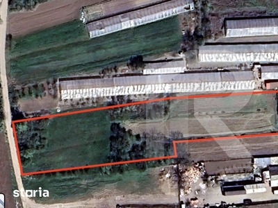 Comana, Falastoaca - teren intravilan de vanzare, 5300mp, COMISION 0