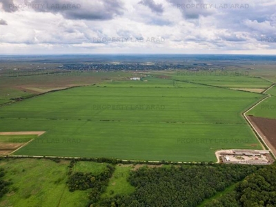 Teren arabil de 985 hectare în Bihor