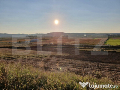 Teren de 28800MP(2.8ha). Pregatit pentru investitie!