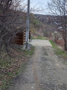 Teren intravilan zona Bucium Pensiunea Garofita 2116mp - Bucium