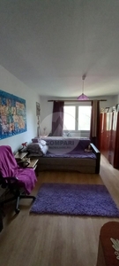 Vand apartament 2 camere Ion Creanga