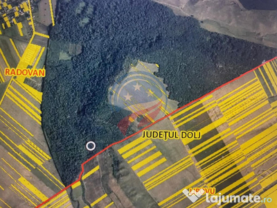 TEREN FORESTIER- PADURE 10 ha
