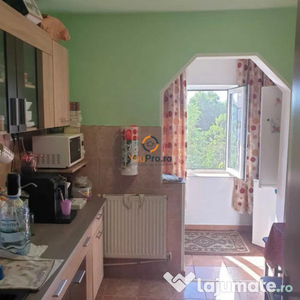 Apartament 2 camere Decomandat Girocului Plavat 2