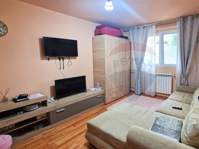 Apartament 2 camere vanzare in bloc de apartamente Bucuresti, Drumul Taberei