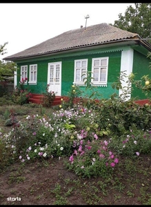 Casa De Vanzare in Falesti (R Moldova)