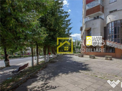 Spatiu comercial P 1, Buhusi, central, jud Bacau