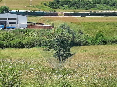 Teren Agricol, Extravilan vanzare, in Cluj, Valcele