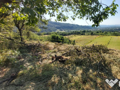 Teren in Baia de fier cu proiect pentru casa de vacanta 10939mp