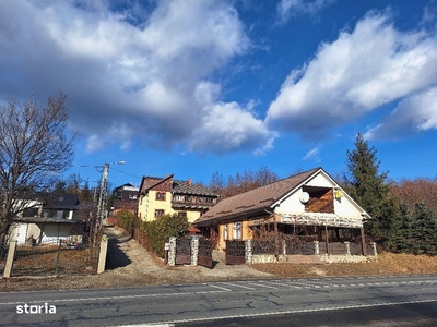 Vand proprietate Paltinoasa,Suceava