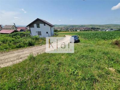 Vanzare Teren 11600 m2 Intravilan Dezmir/Sannicoara