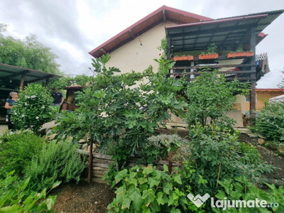 Casa parter si teren intravilan Pucioasa, Dambovita