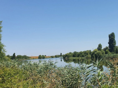 Teren Corbeanca Petresti,langa lac Balotesti