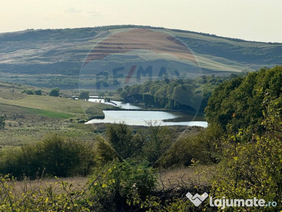 Teren cu pârâu | 50,000 mp | zona Caianu-Vama | la lizi...