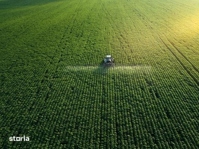 Teren agricol extravilan sat calelia ialomita