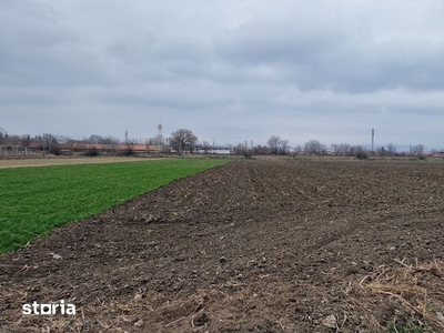 Vând teren intravilan în Mizil