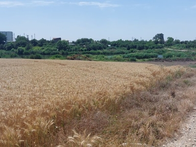 Vanzare Teren intravilan constructii - Central , Balotesti