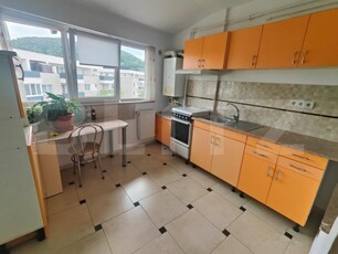 Apartament cu 2 camere, etaj intermediar, parcare, zona Florilor