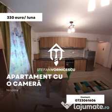 Apartament cu o camera de închiriat - Nicolina, Salciilor